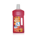 Detergent pardoseală 1L Portocală
