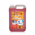 Detergent pardoseală 5L Portocală