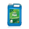Balsam de rufe economic 5L Fresh